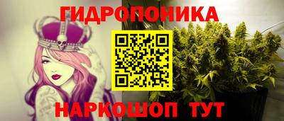 альфа пвп Лесосибирск