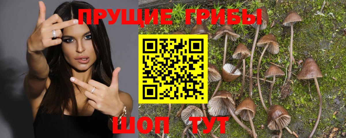 Псилоцибиновые грибы Magic Shrooms Беслан